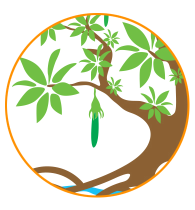 Mangrove Foundation Logo